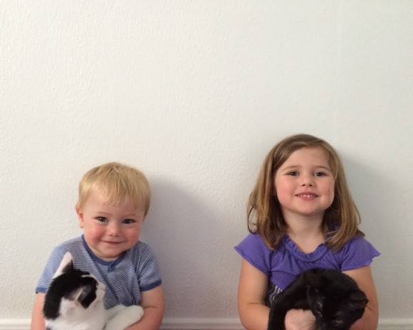 life with kids and kittens
